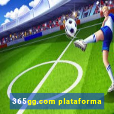 365gg.com plataforma